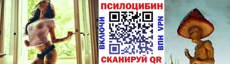 Псилоцибиновые грибы Psilocybe  Купить где  Подольск 